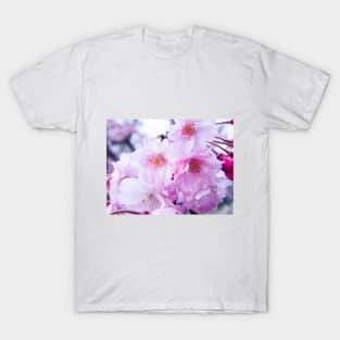 Photography - Plum blossom T-Shirt